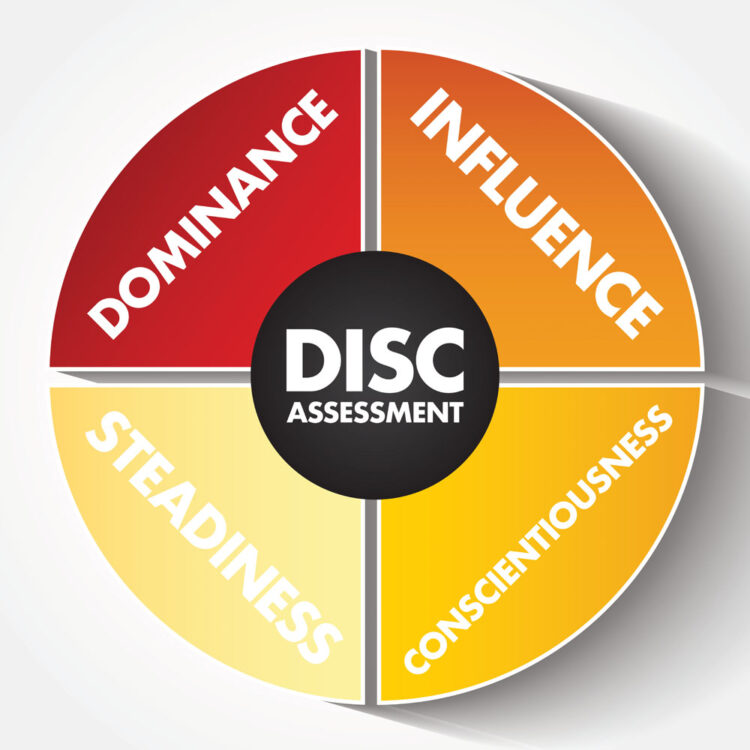 disc corporate coach assessment