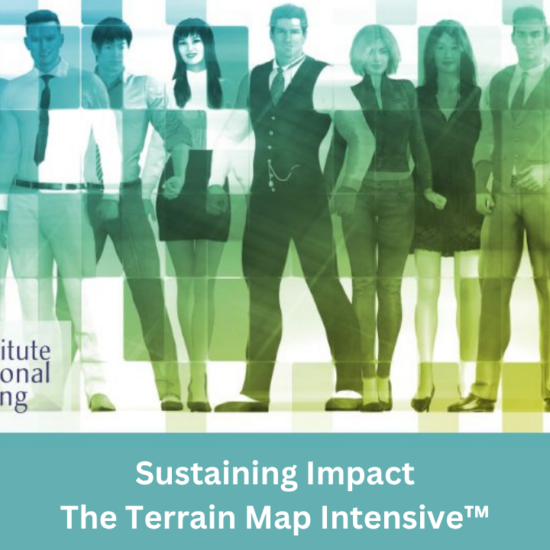 Sustaining Impact - The Terrain Map Intensive™